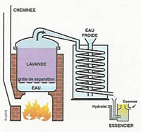 Alambic simple à feu nu fixe